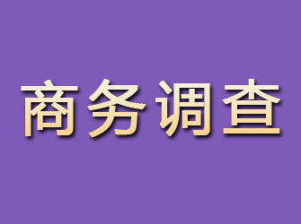 类乌齐商务调查